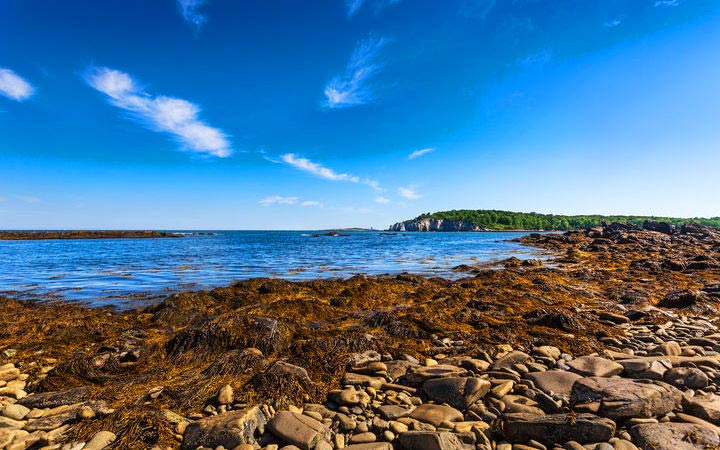 Scalo Isola di Portland